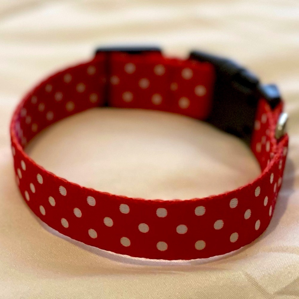 Small Dog Collar - Polka Dots